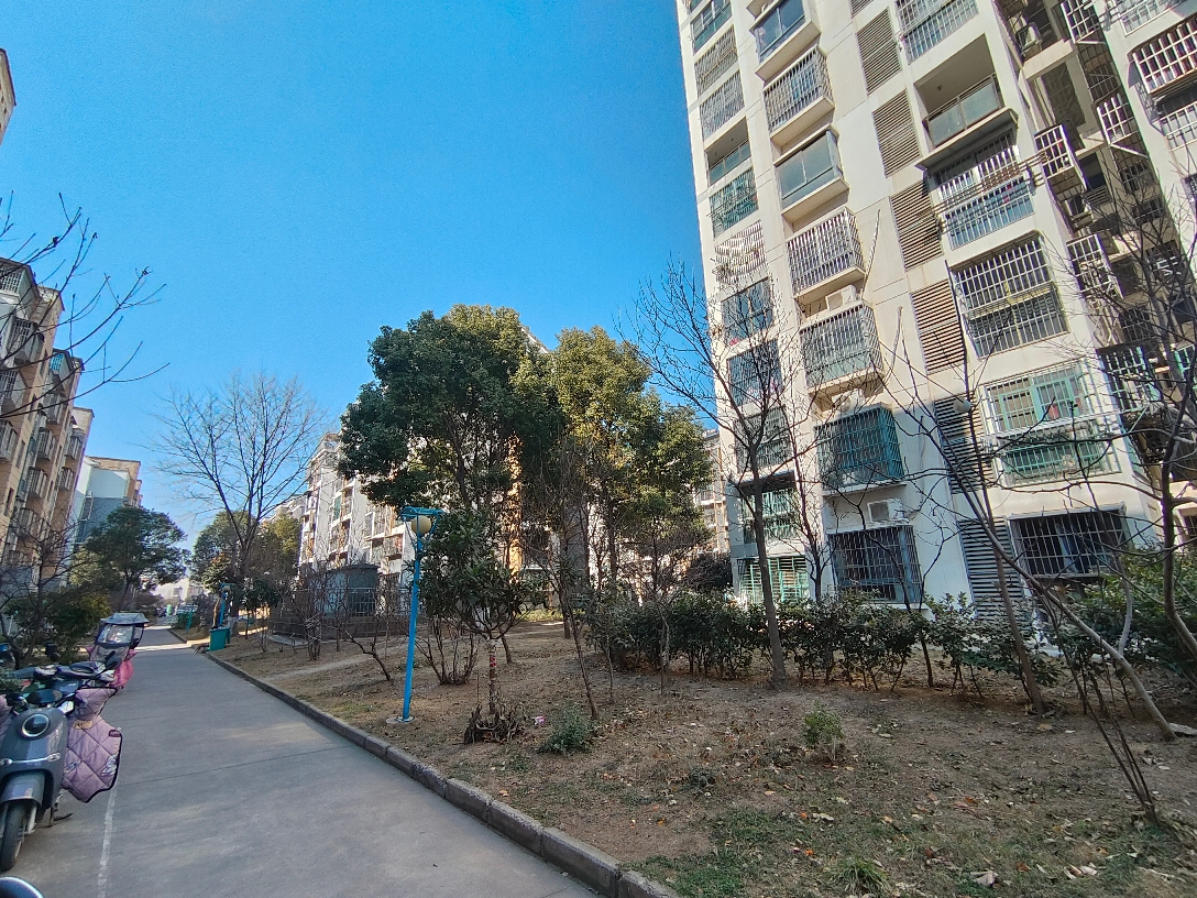 谢家集新村B区 69平精装两居 采光好 配套齐全交通便利_13