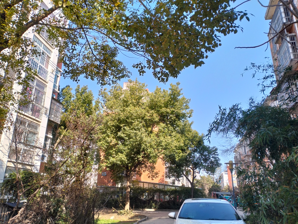河西小区二期140平三室两厅普装采光好对外出租_10