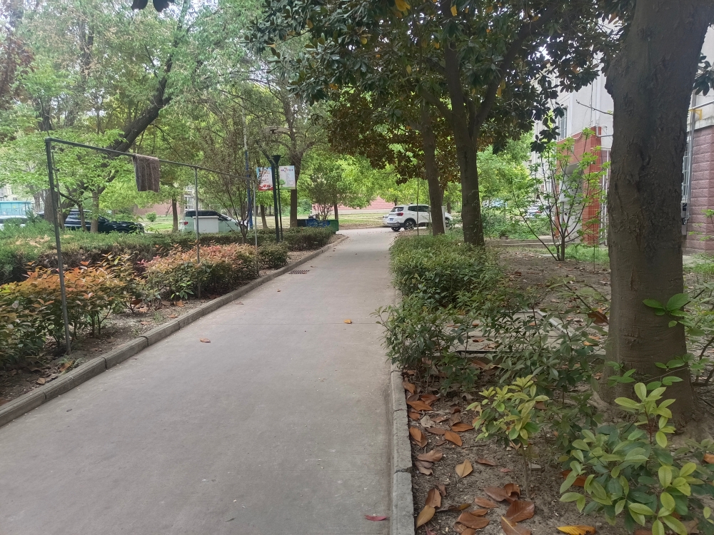 谢家集区望峰岗淮望小区3室2厅学区谢六中_12