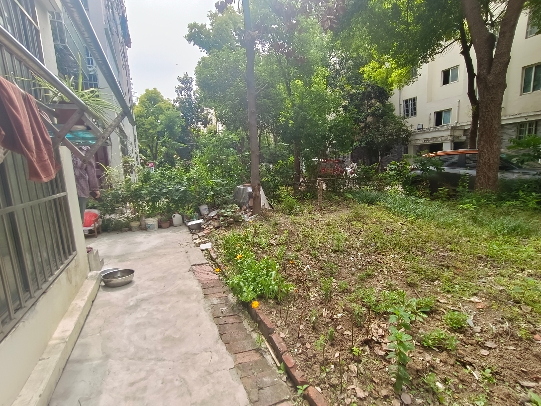 金丰易居三期 精装 一楼 带院子 出售_10
