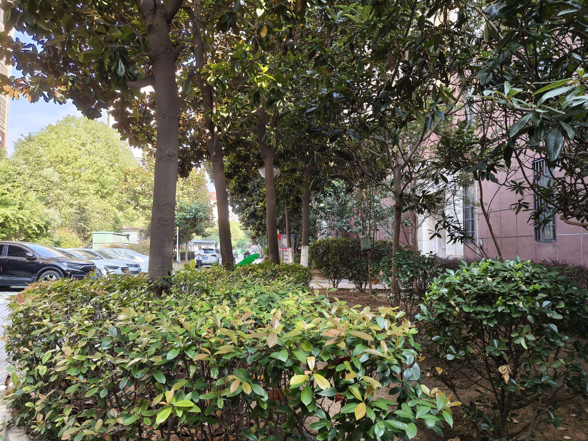 泰府名邸 100平 南向三室 毛坯 交通便利 学区房_10