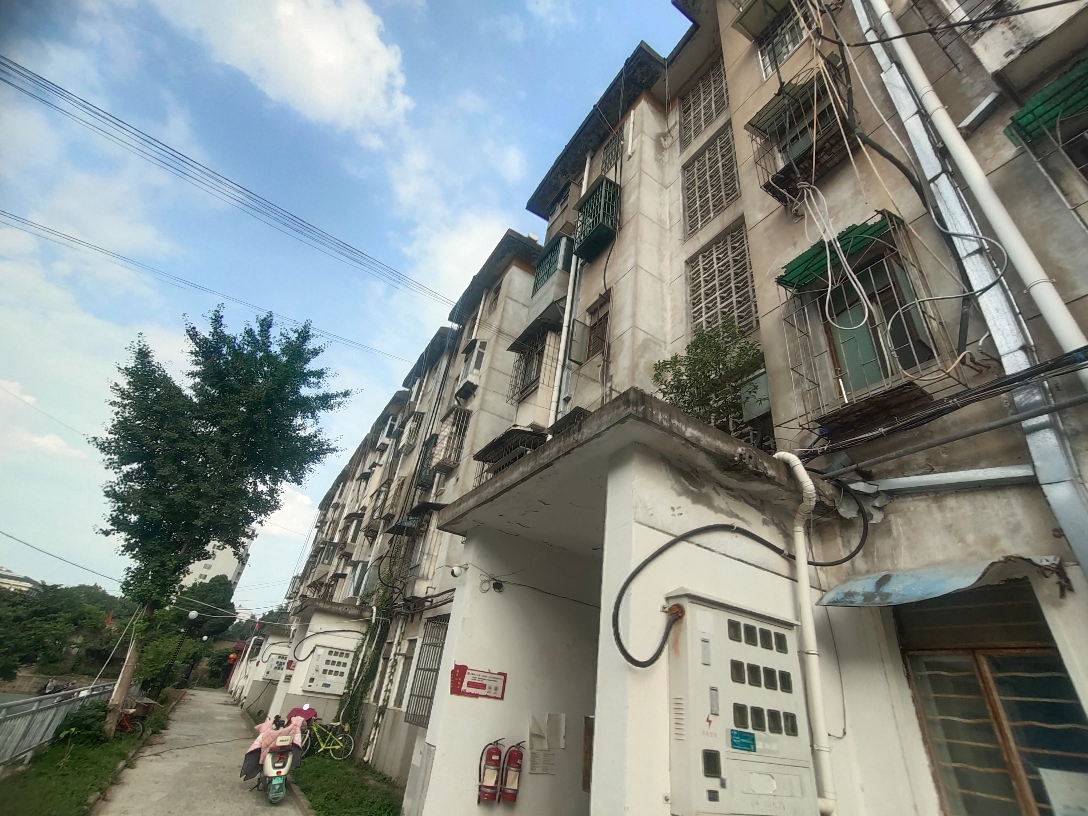 龙眼村 2室1厅 简装 出租 4楼_11