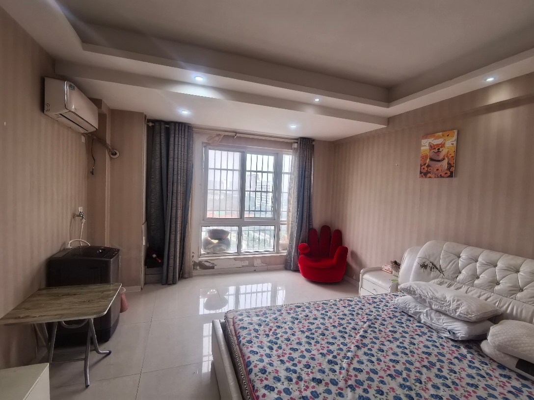 龙湖中心 48平精装一室一厅 配套齐全 随时看房_3