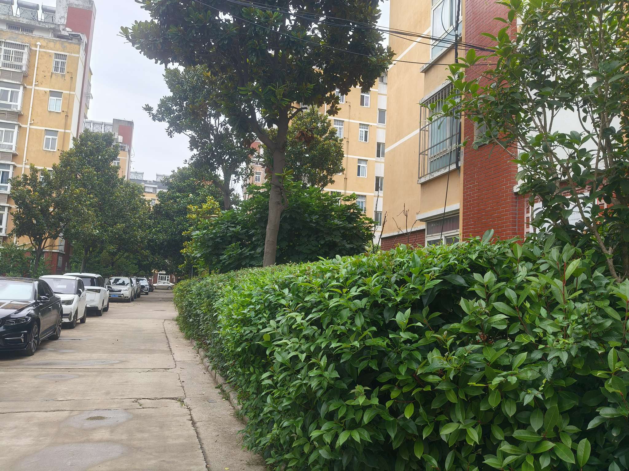 新河村 57平 两室一厅 满五唯一 普装随时看房_6