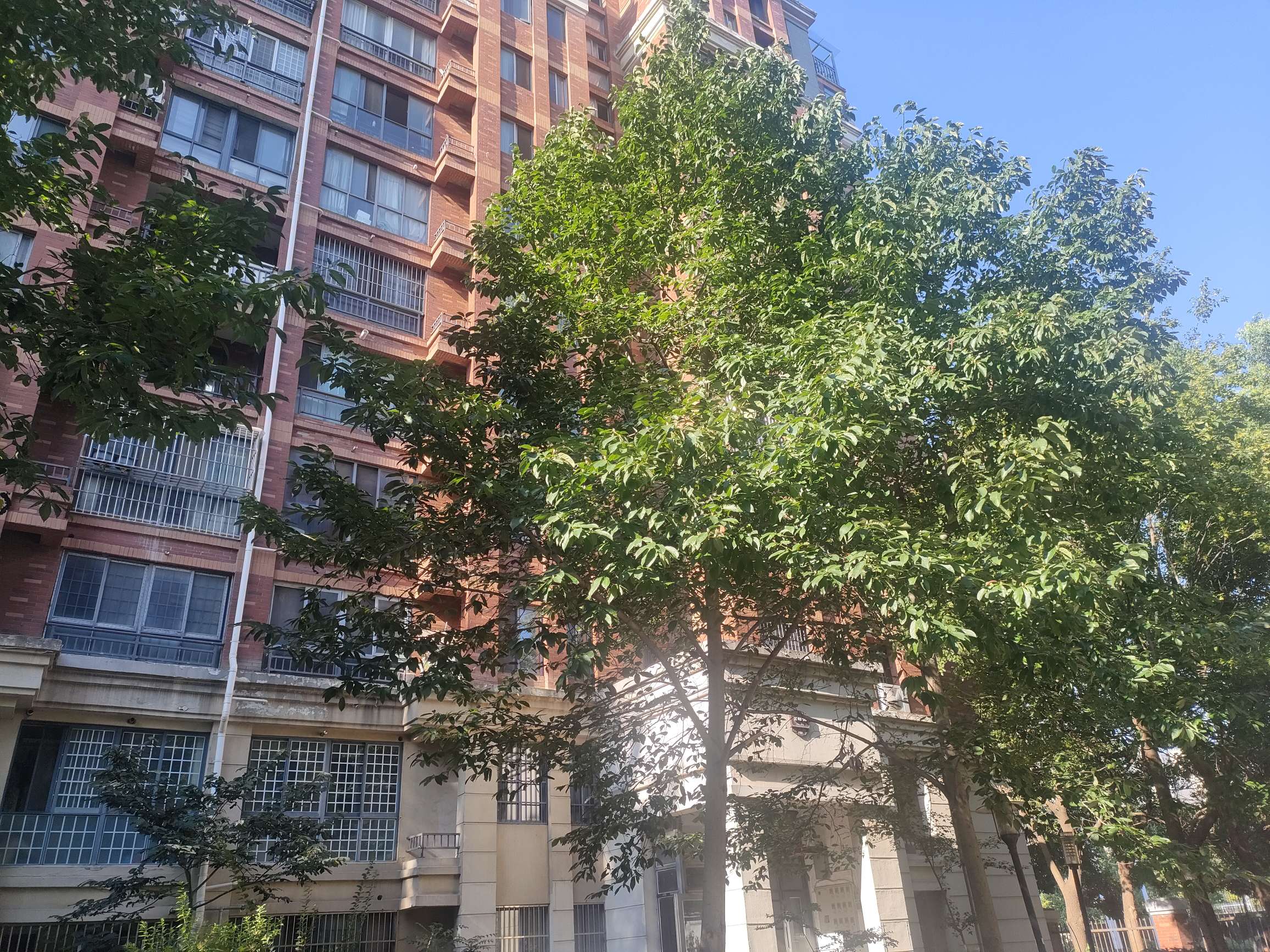 新二中旁二室一厅毛坯，交通购物方便_13