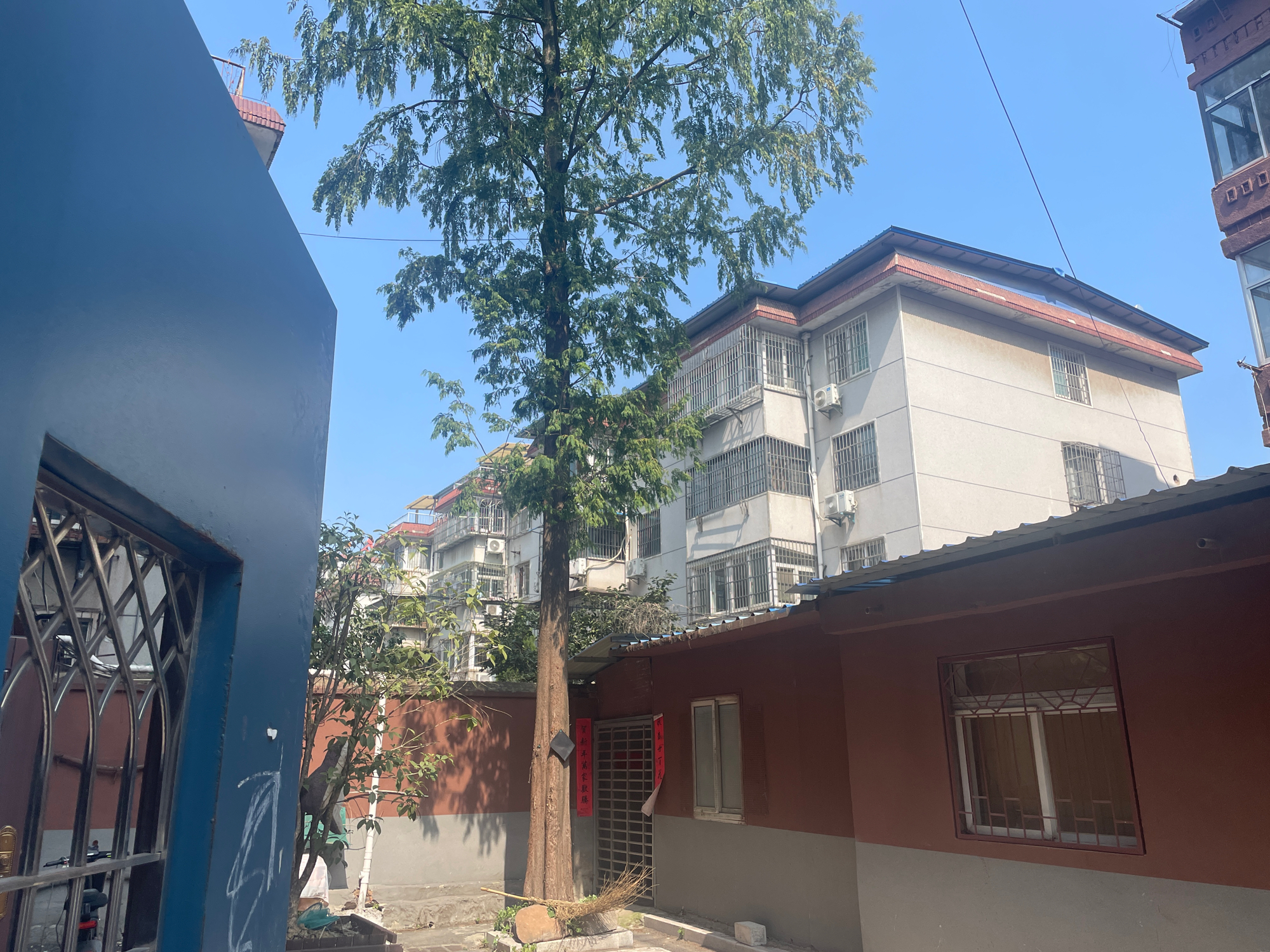 煤炭局大院 55平 南向两室一厅 交通便利 简装出租_8
