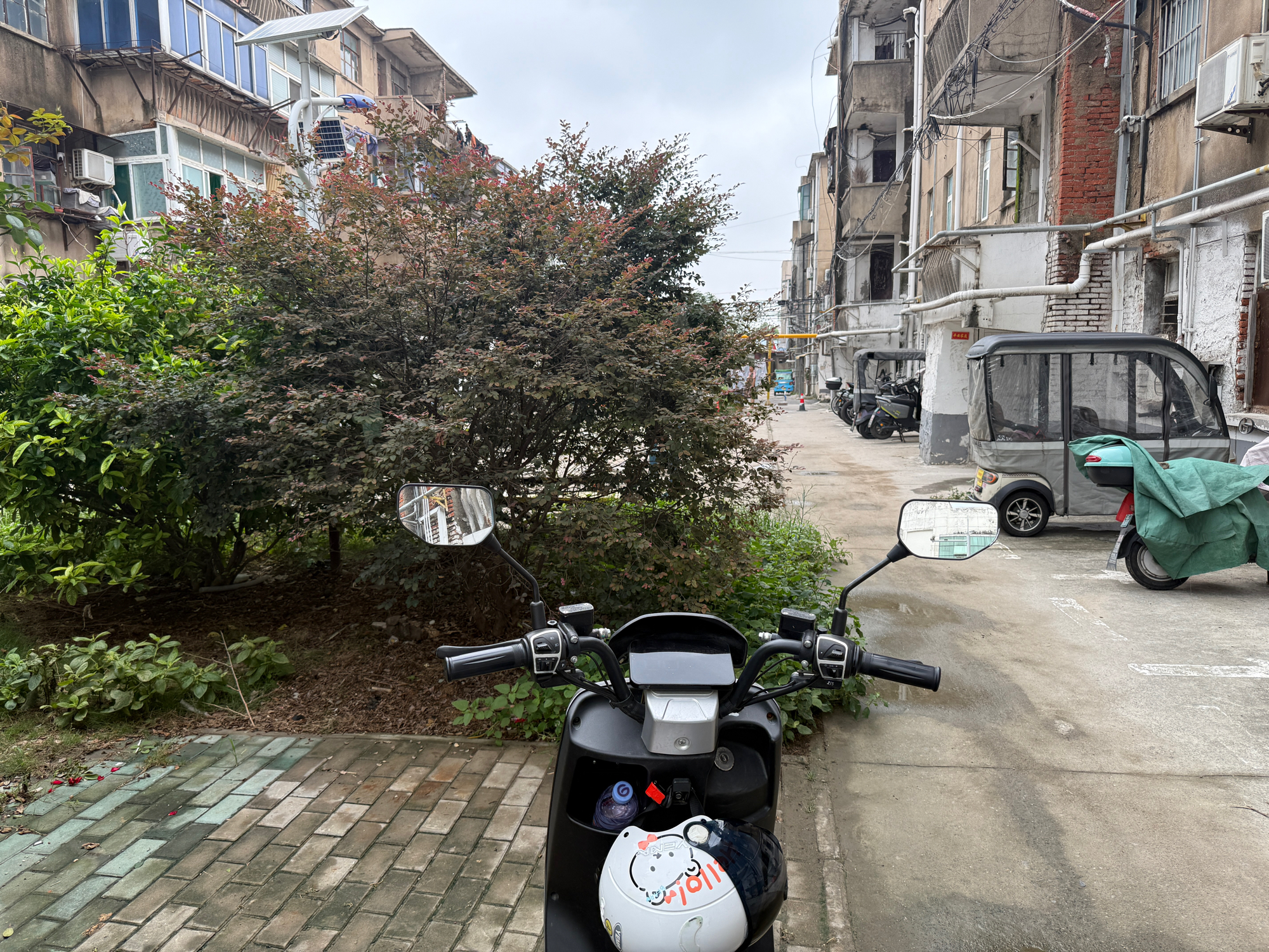 水泥厂支架村  1室1厅_9