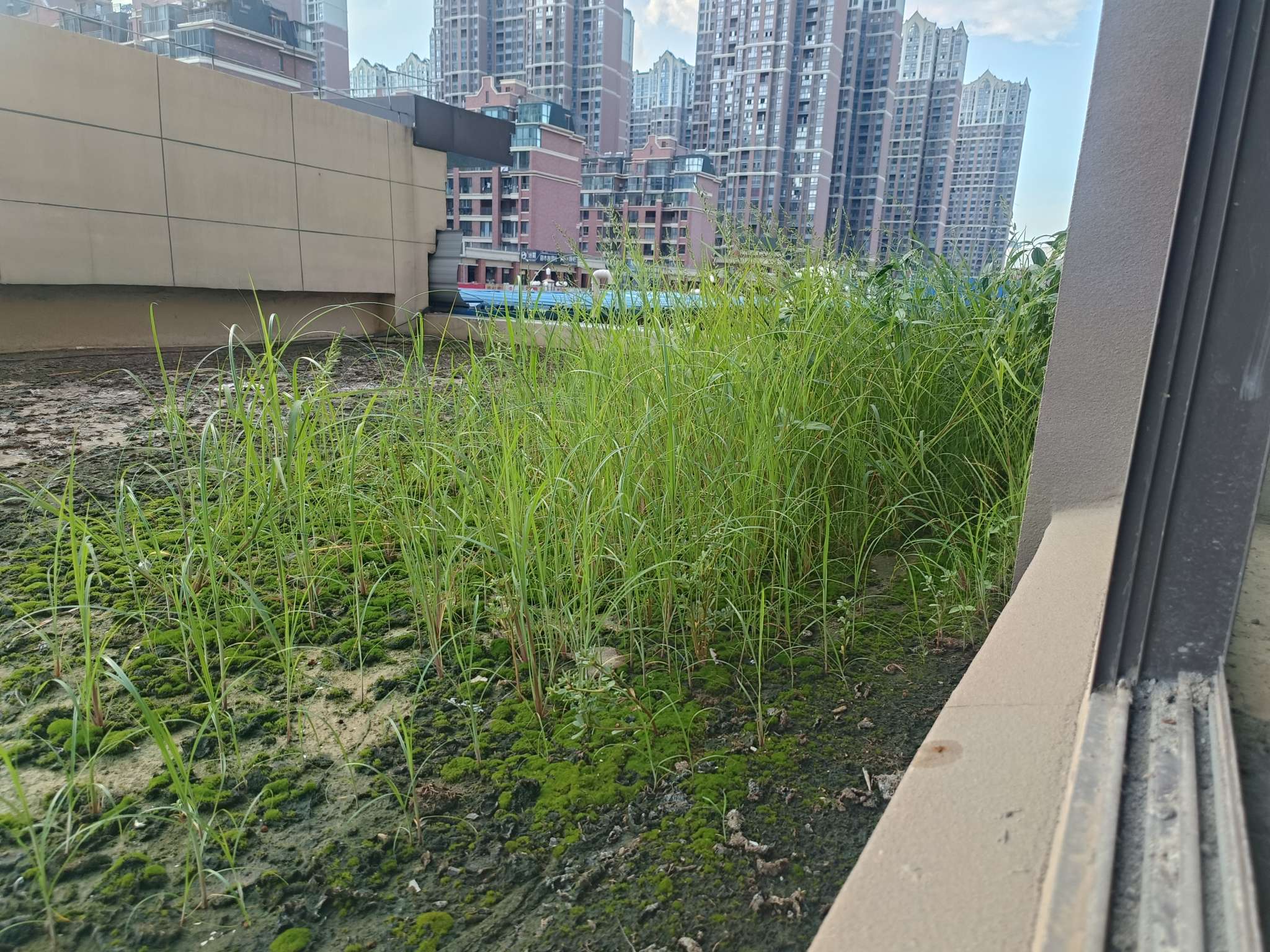 理工大旁 艺山南毛坯边户3房2厅 诚心出售_8