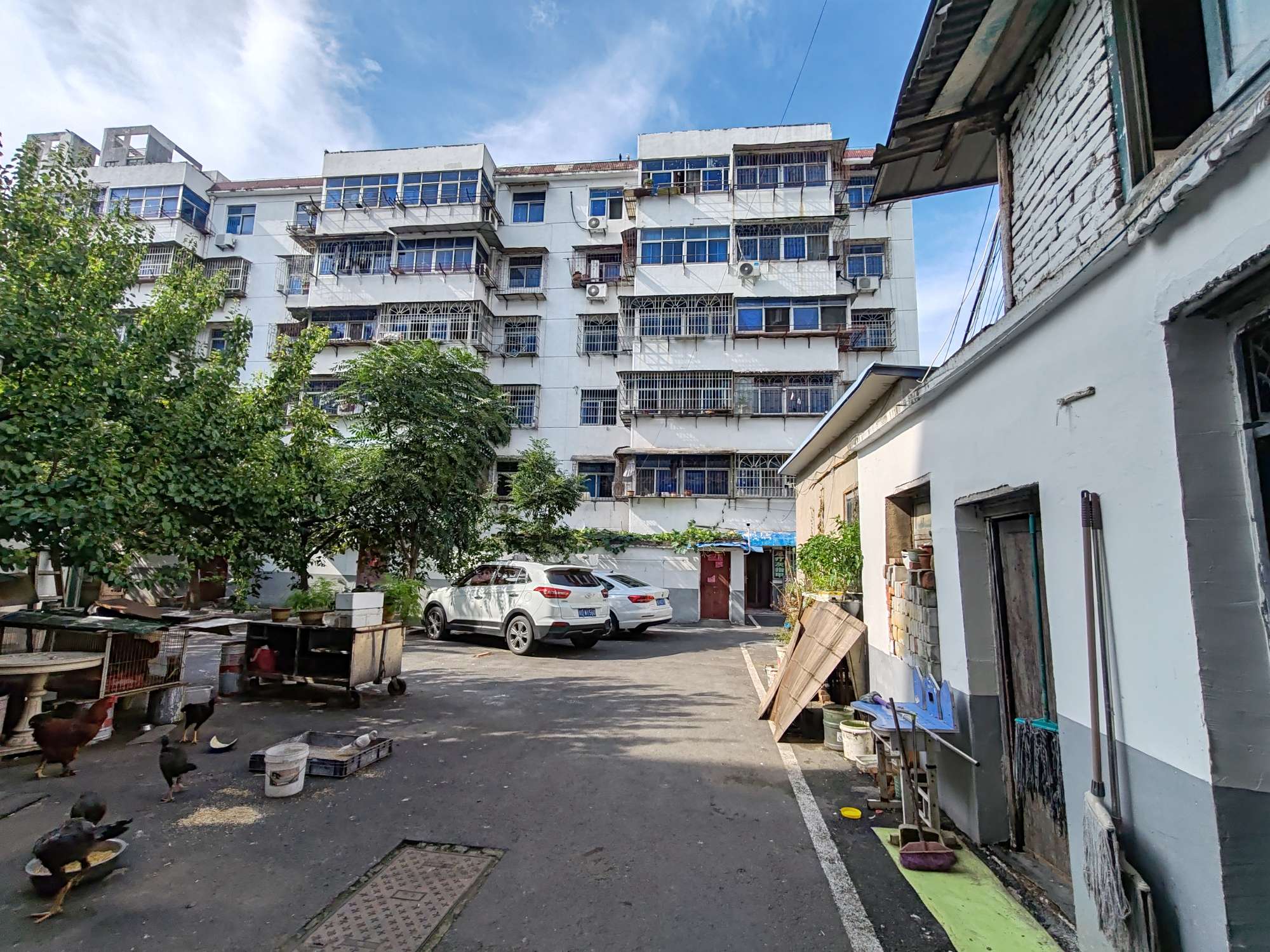 新百商店综合楼 83平 两室两厅 交通便利 简装出租_15