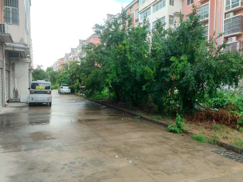 大庄新村精装两室两厅_13