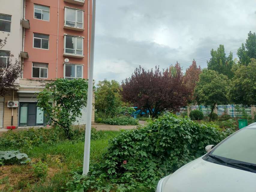 大庄新村精装两室两厅_9