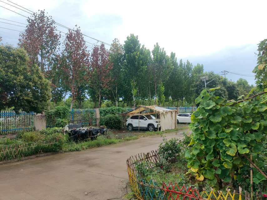 大庄新村精装两室两厅_12