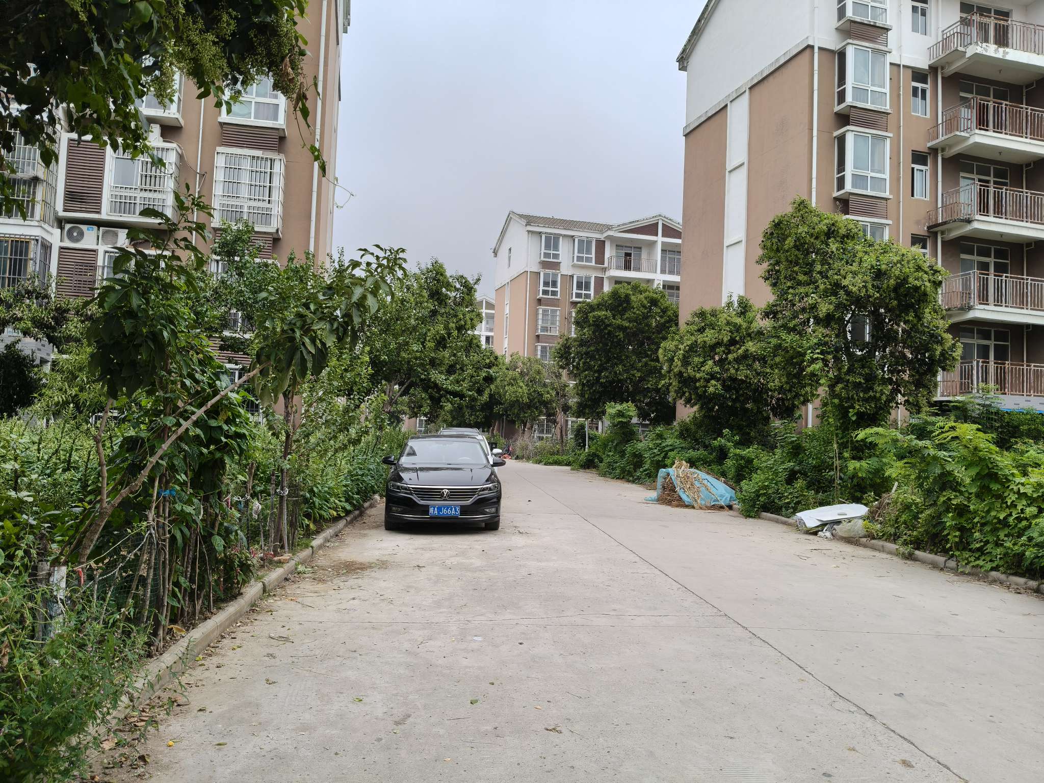杨柳新村2室2厅毛坯_8