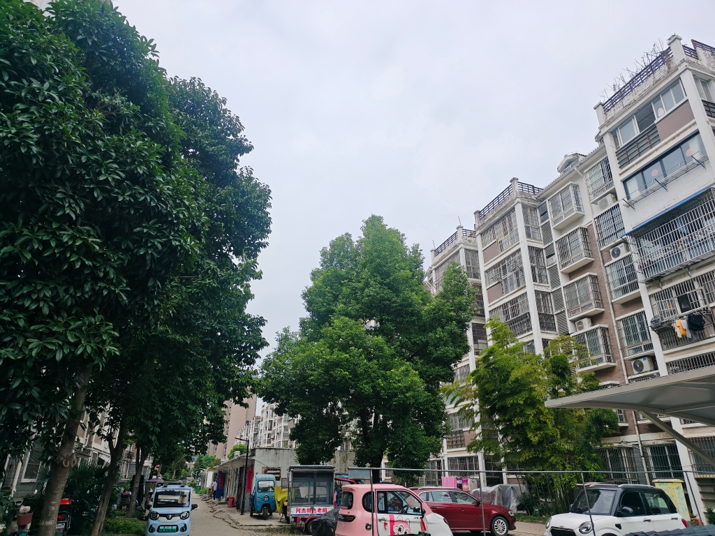 实验小学附近简单装修两室出租_7
