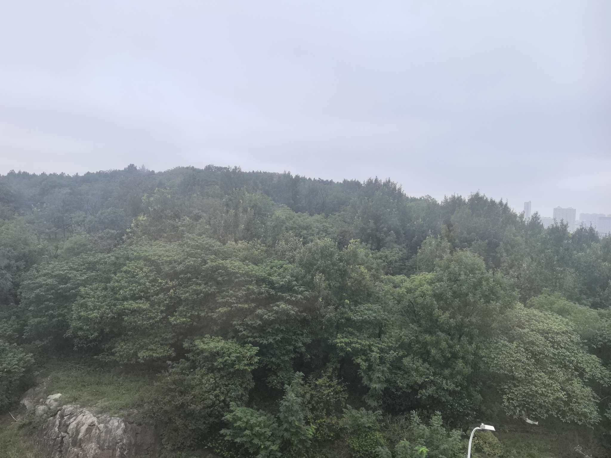 房子采光好   房型方正_7