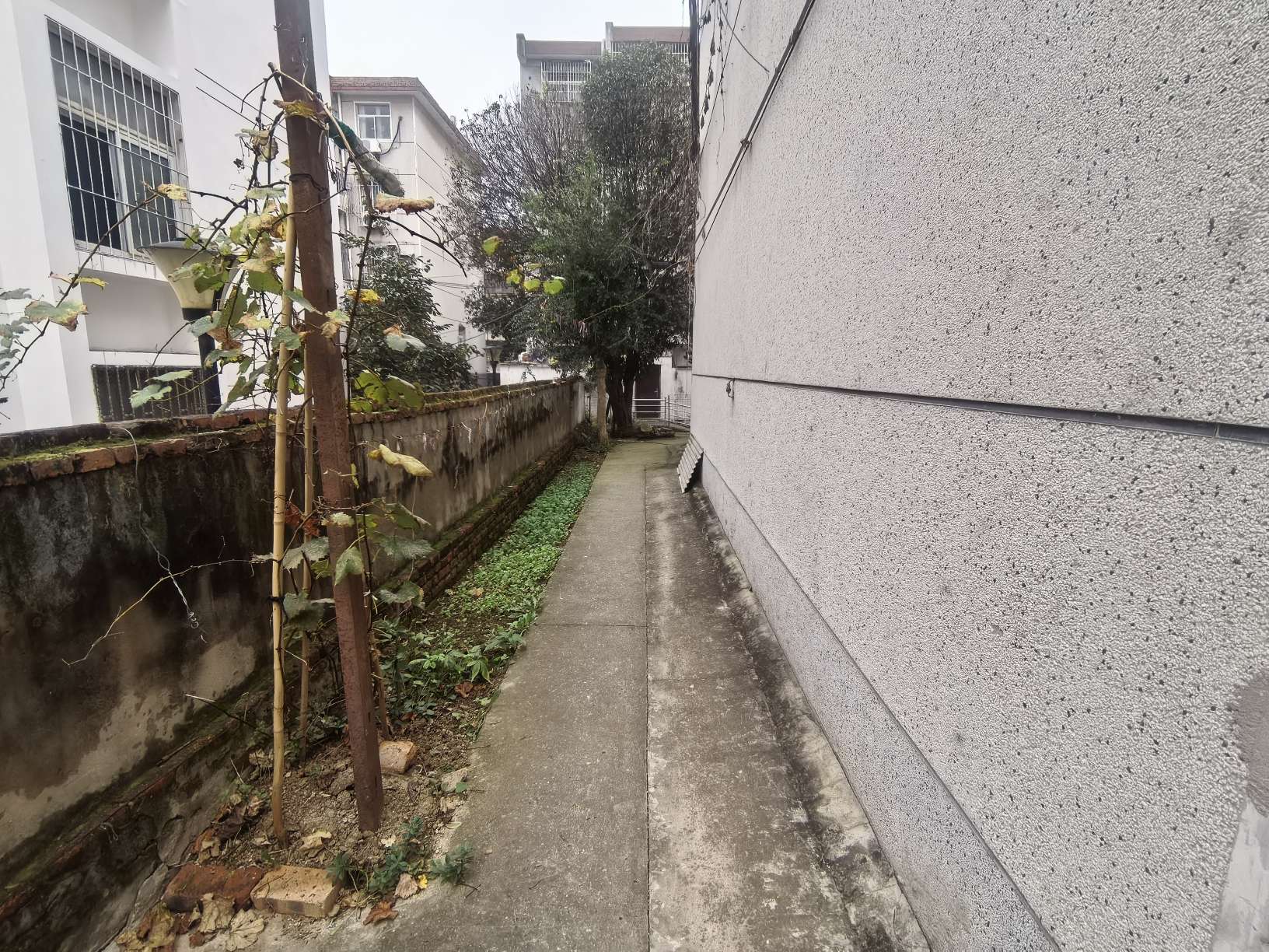 前锋二村 77平 两室一厅 交通便利 学区房 采光好_10