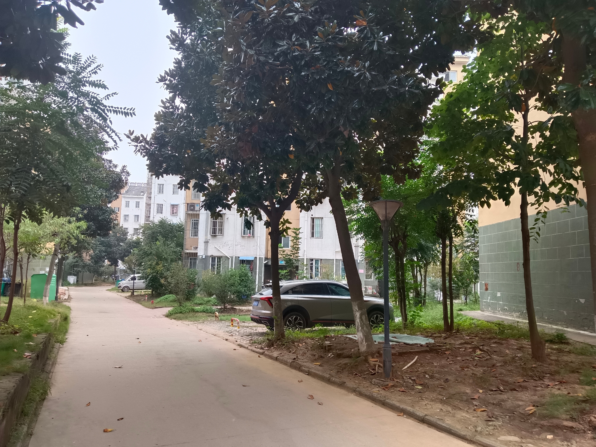 新家园C区76平方精装房，2层，两卧朝南，拎包即住。_8