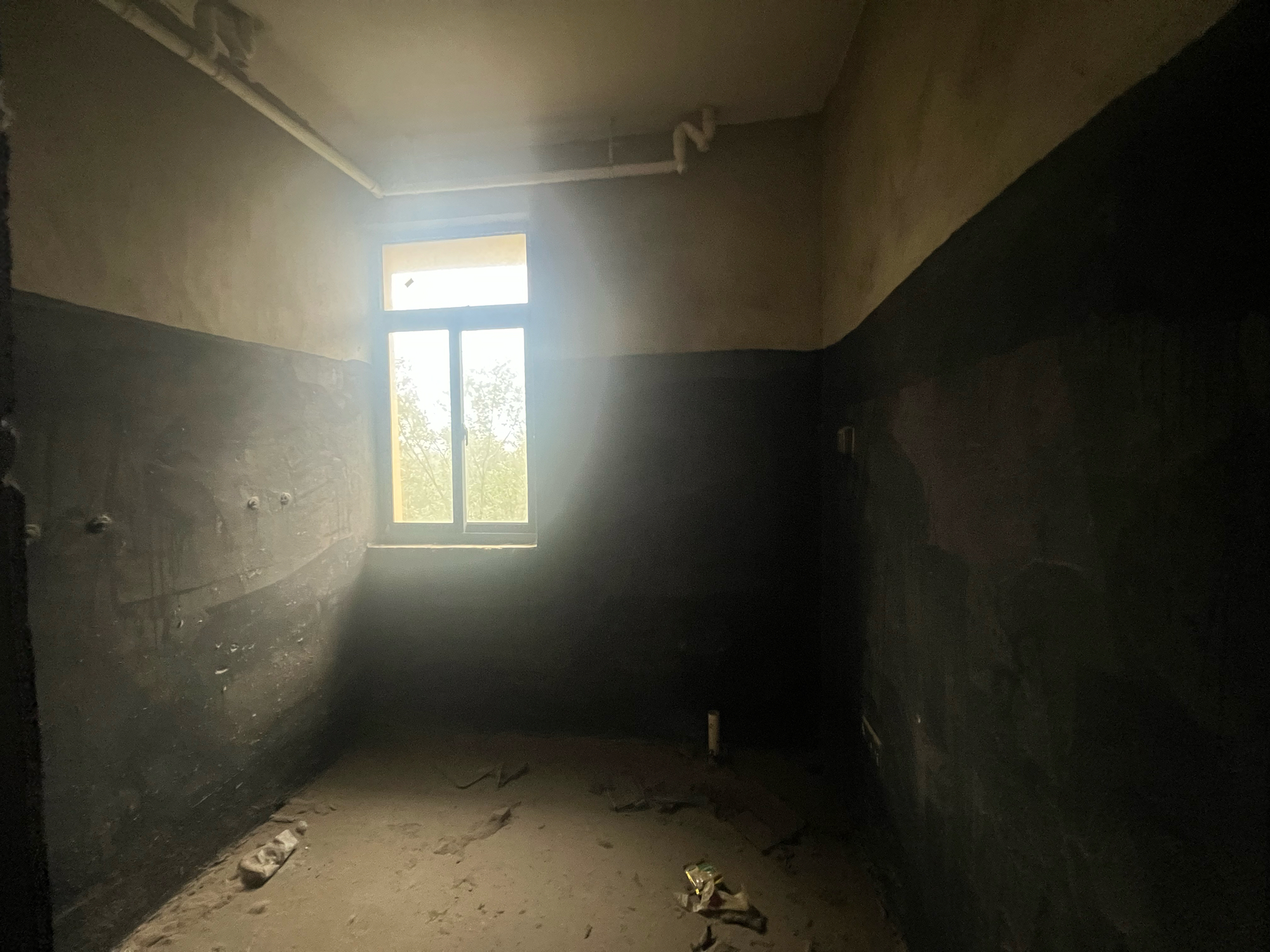 春雨梧桐带大平台 诚心出售_6