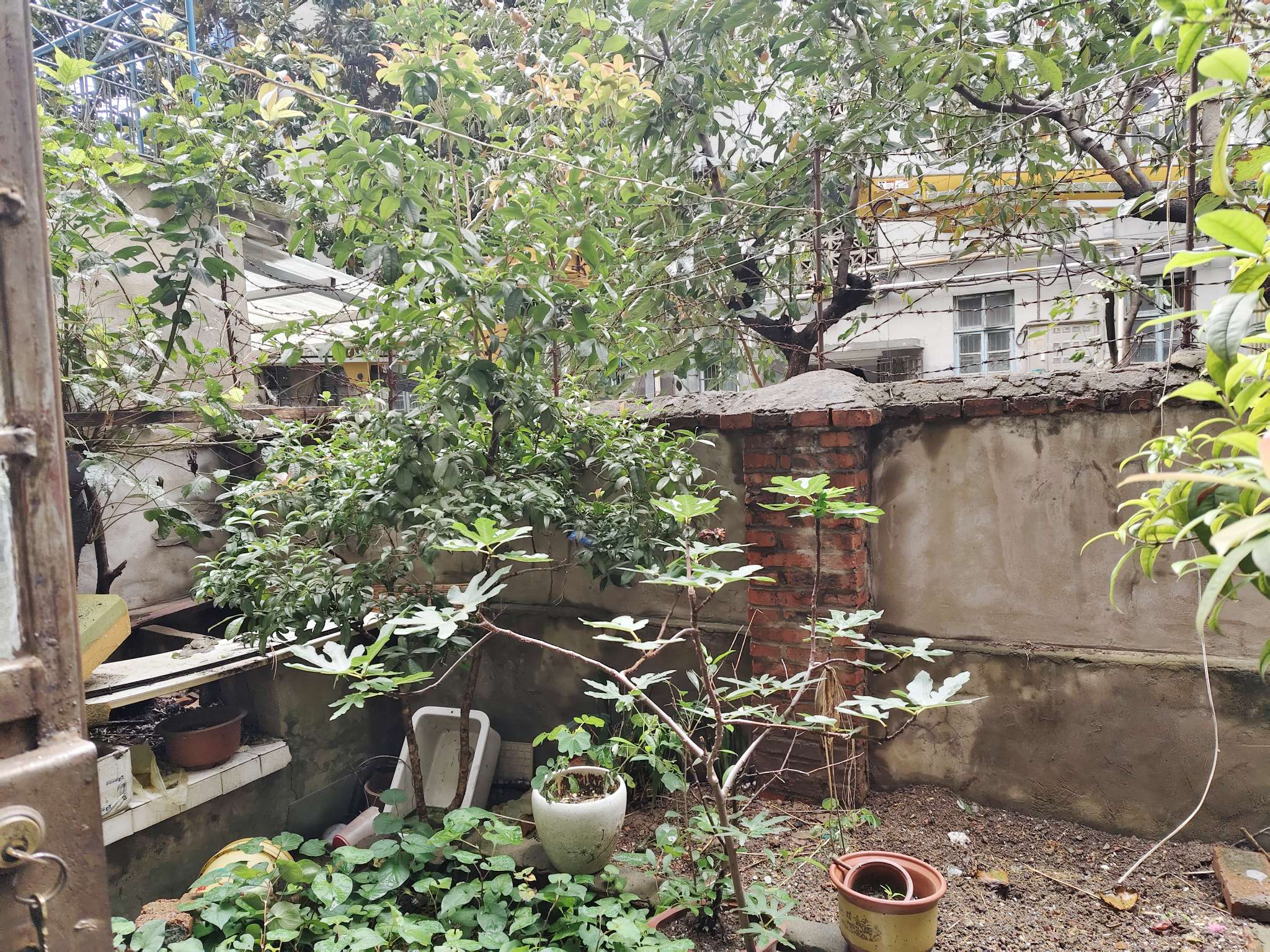 东淮村 70平 南向两室一厅 满两年 交通便利 学区房_9