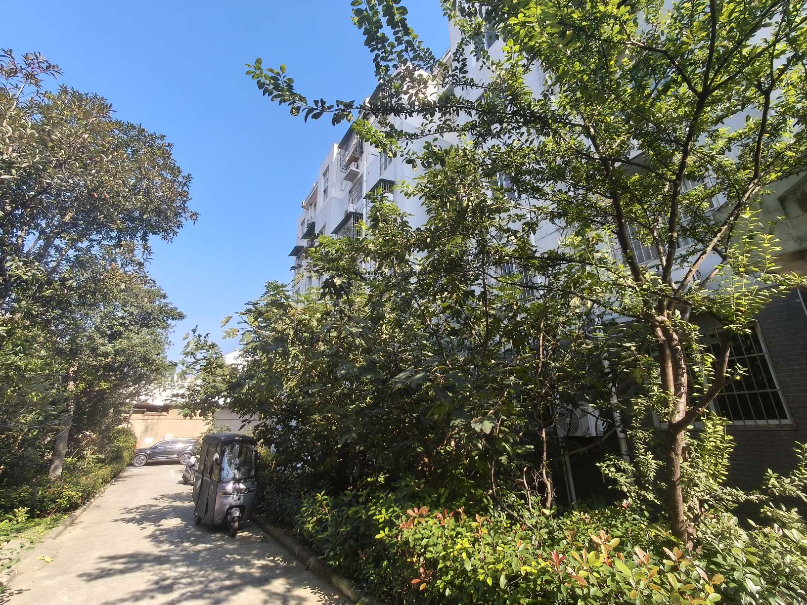 新社西村东区 93平 三室一厅 满两年 普装好房 交通便利_17