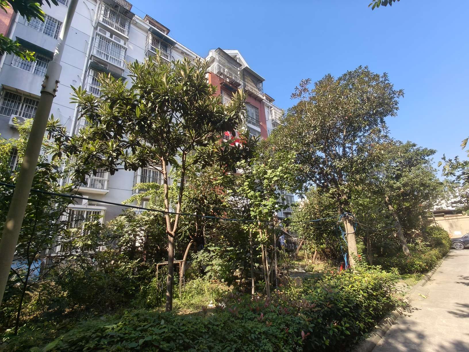 新社西村东区 93平 三室一厅 满两年 普装好房 交通便利_16