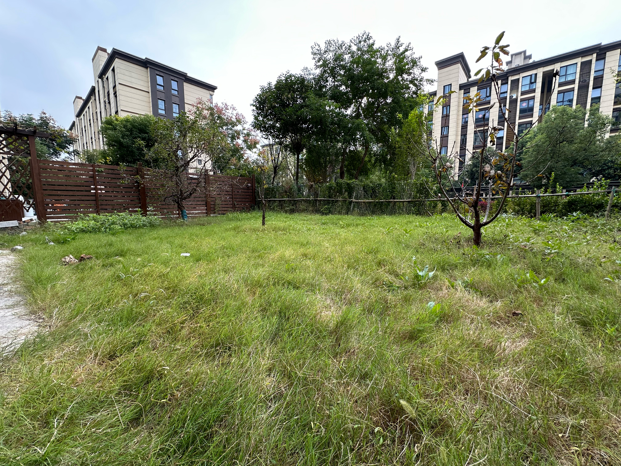 舜山名邸 118平 精装 1楼 3居室 _13