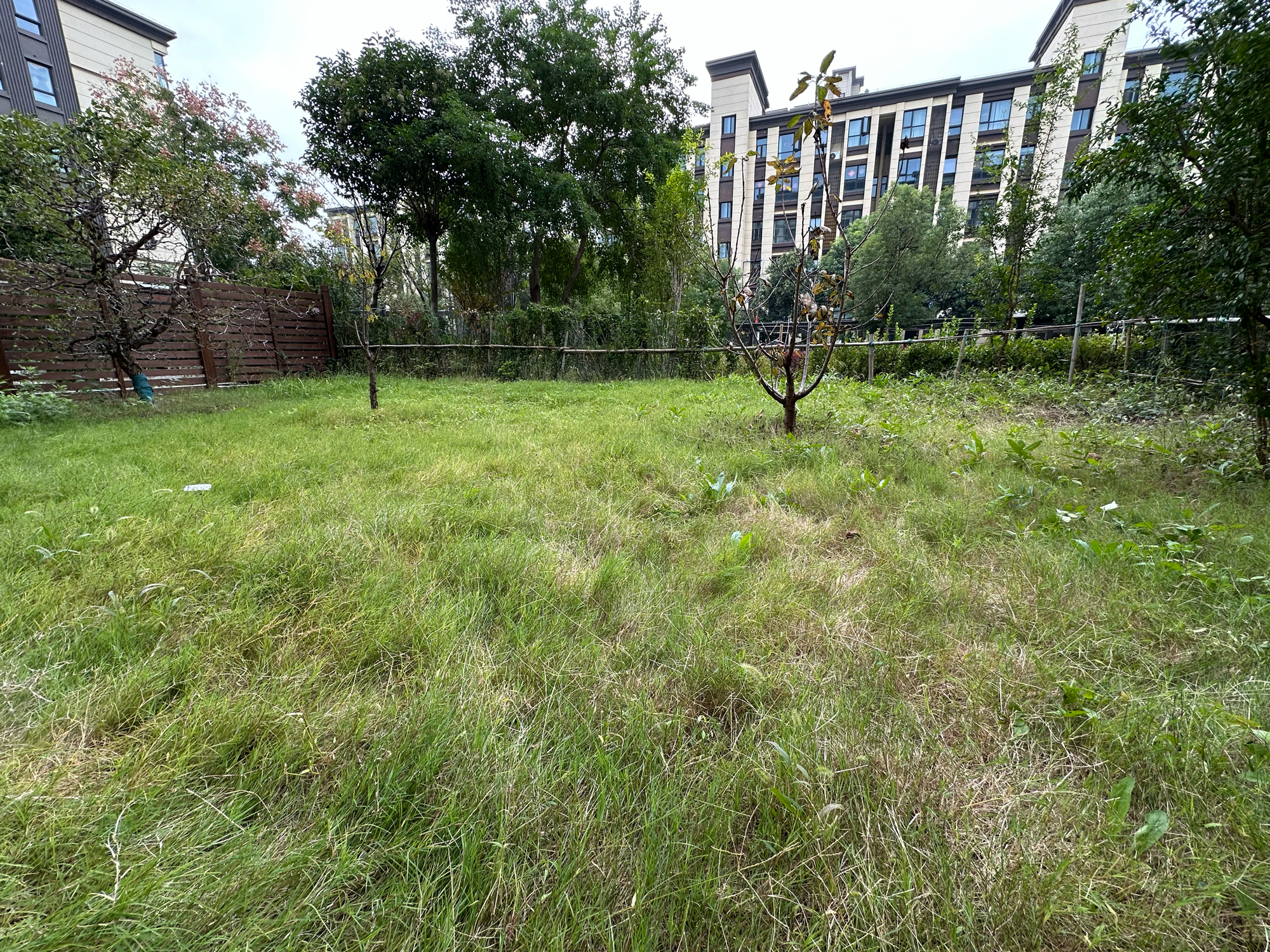 舜山名邸 118平 精装 1楼 3居室 _12