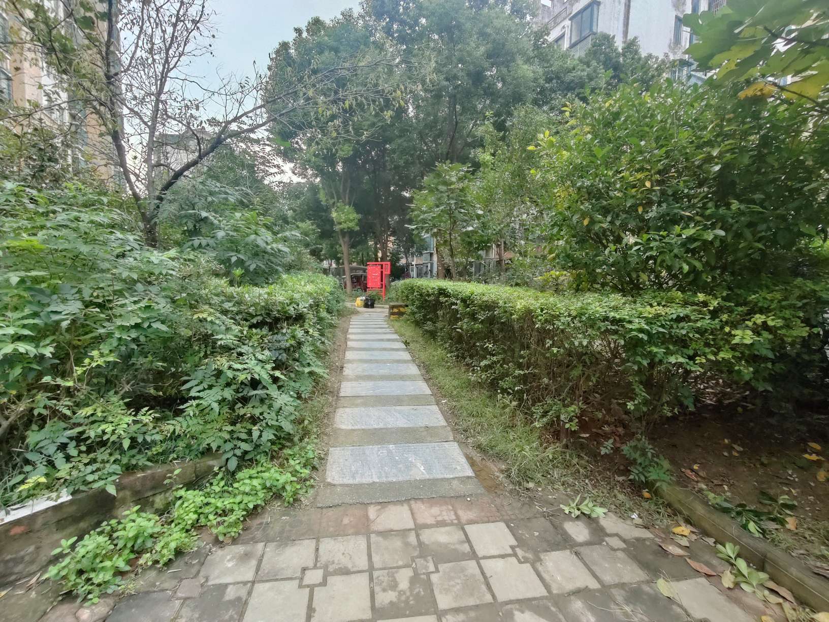 熙城熙园 98平 精装三室 交通便利学区房 采光好随时看房_13