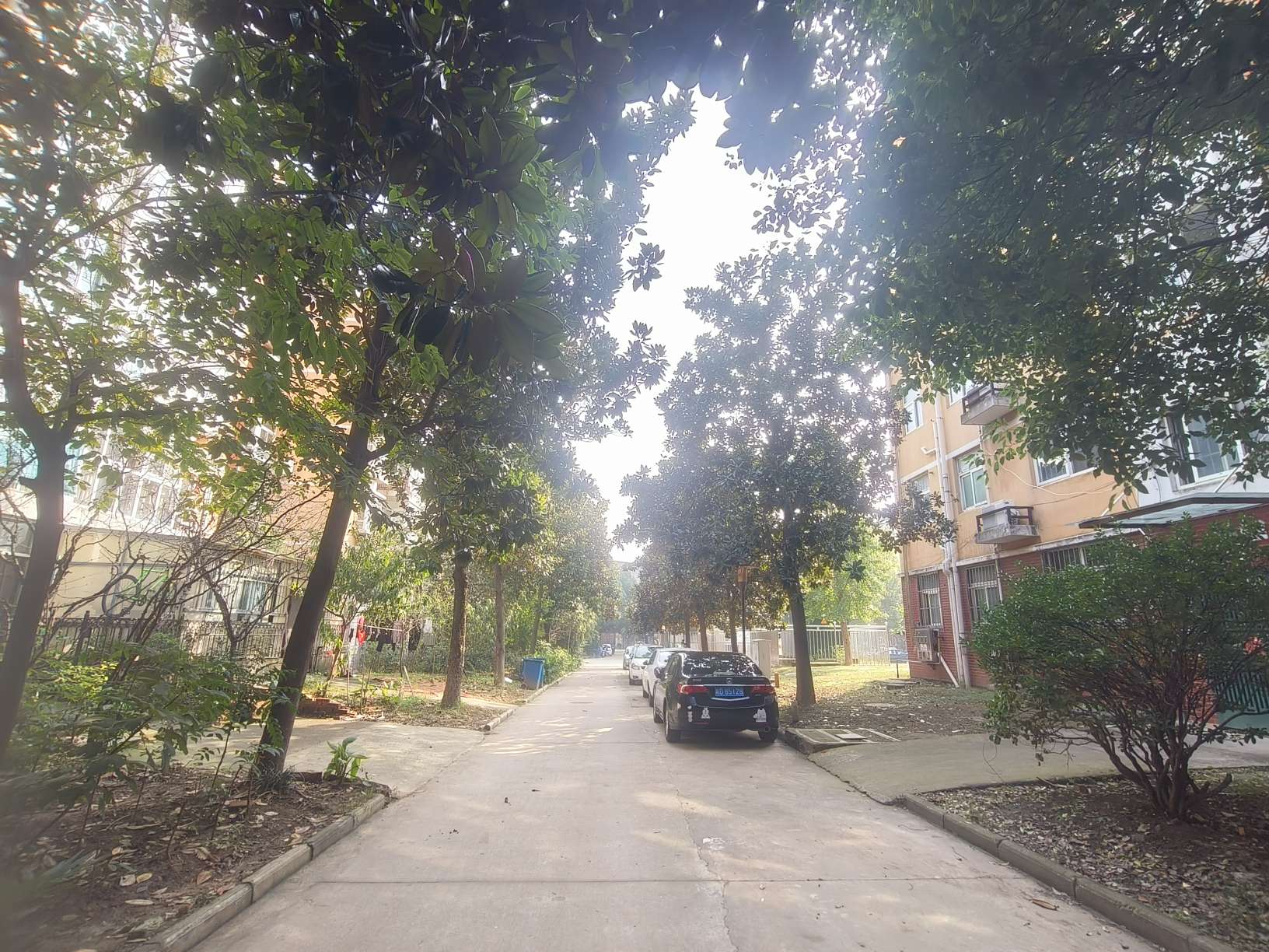河西小区 120平 东向三室 交通便利 随时看房_9