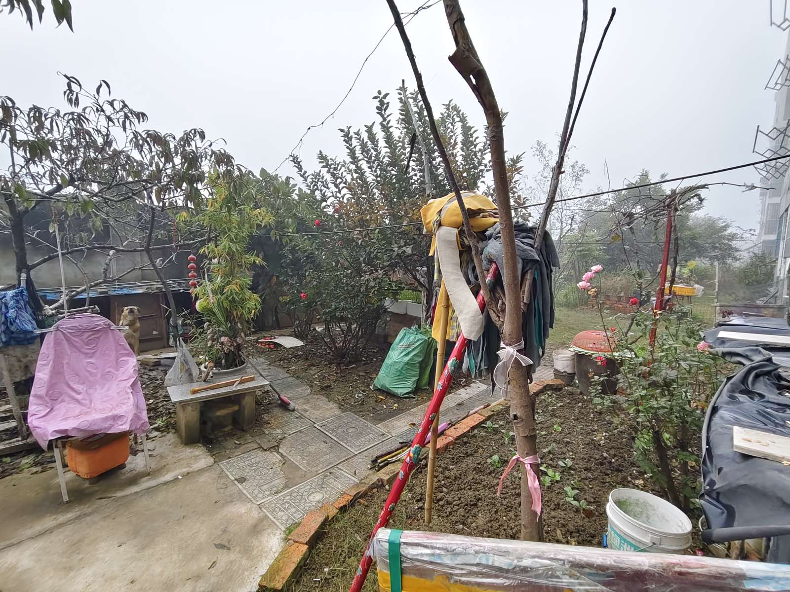 新袁庄A区三室两厅对外出售当毛坯房卖_11