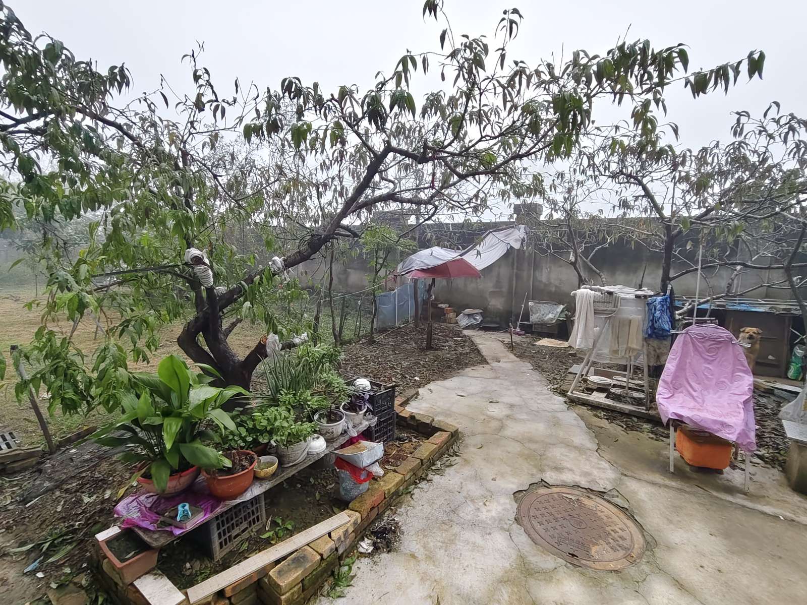 新袁庄A区三室两厅对外出售当毛坯房卖_8