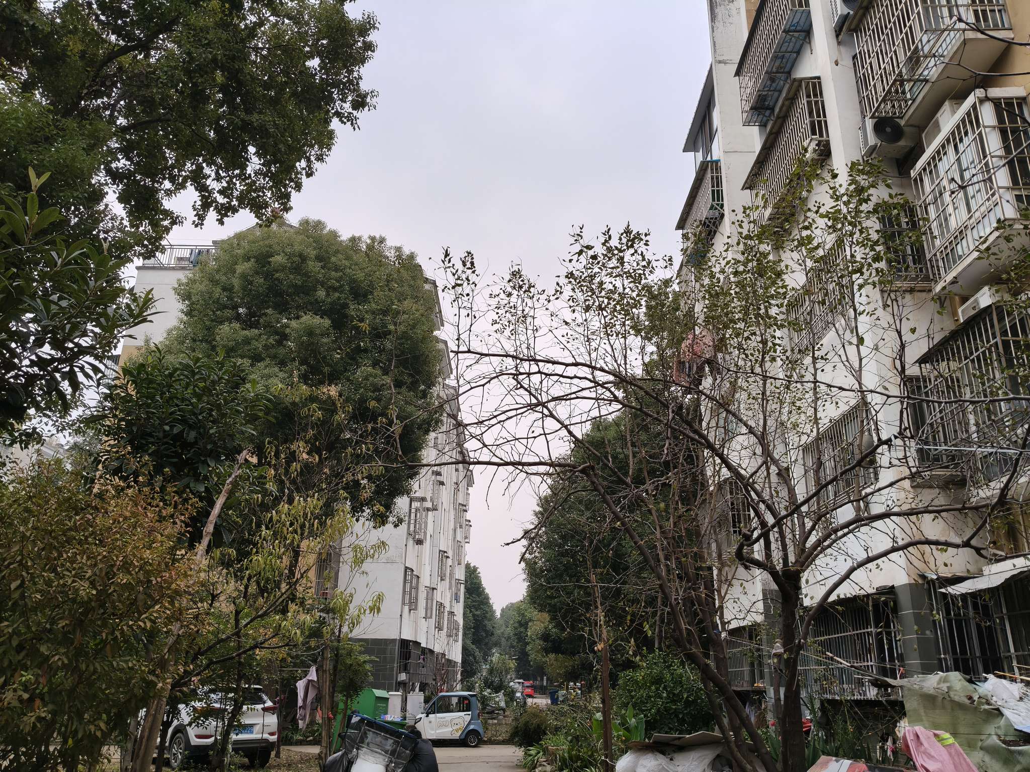 新家园C区 79平 两室一厅 满两年 交通便利配套齐全_9