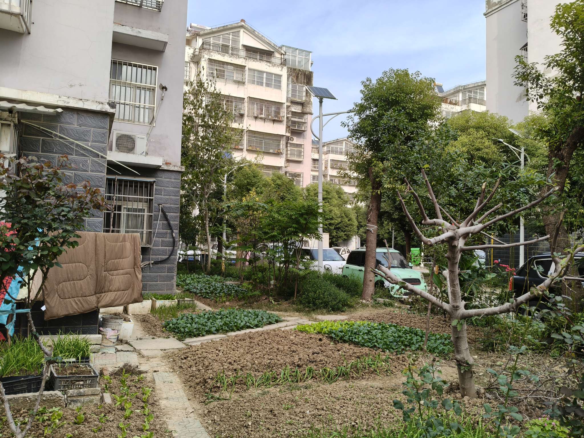 李圩新村 110平 三室一厅 学区房满两年 采光好配套齐全_19