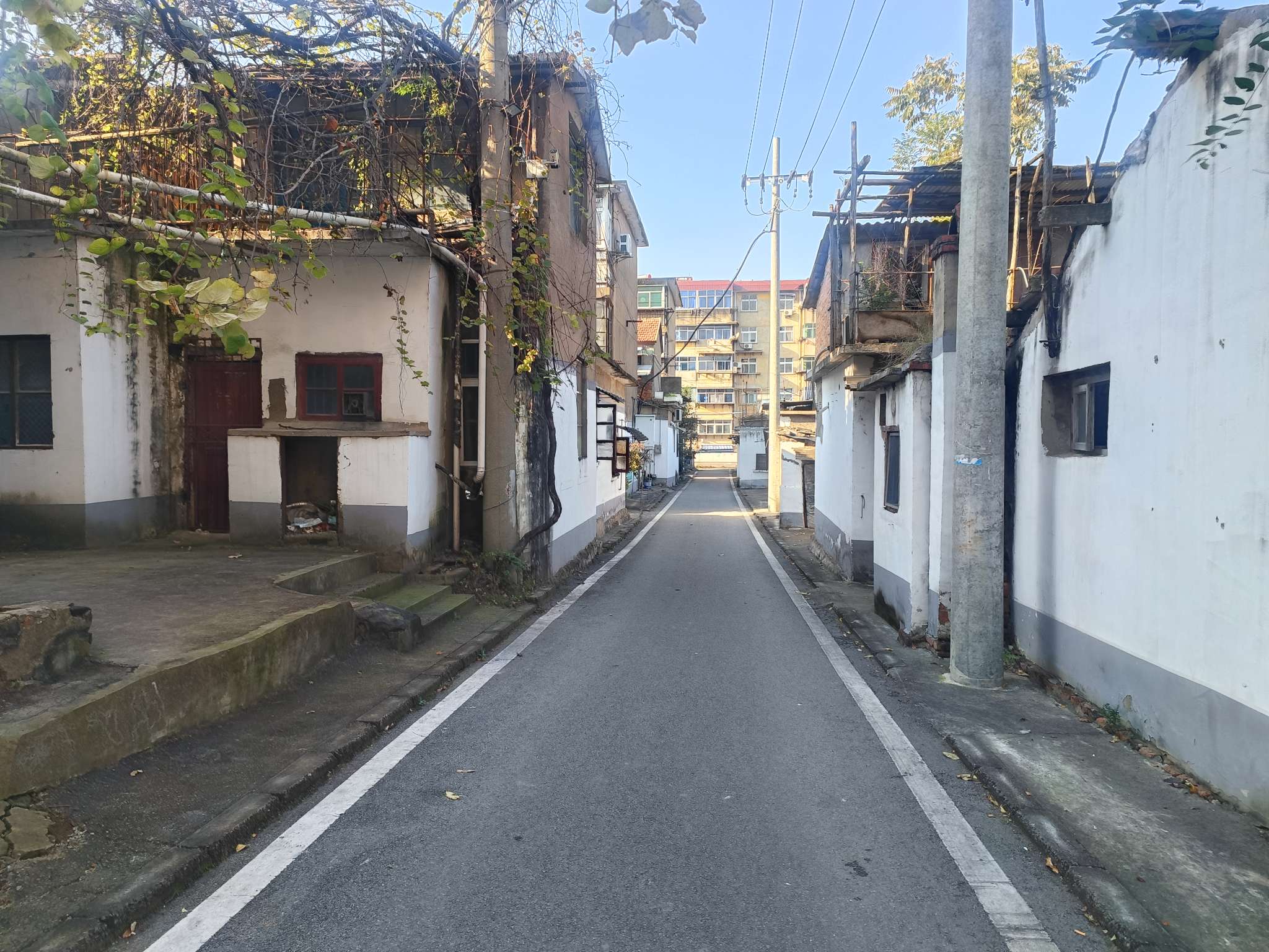 合成村 50平 两室一厅南向采光好 单价1200元/平_11