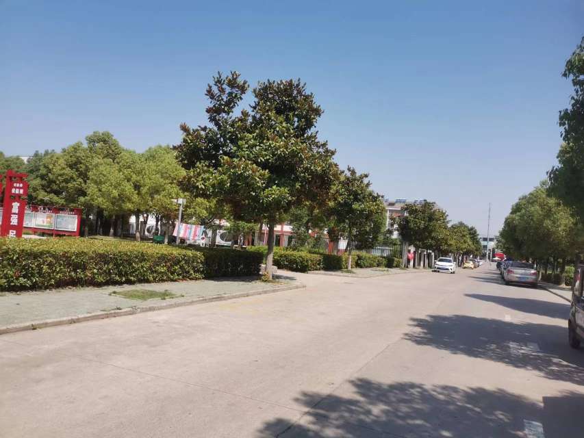 望北新村 3楼 两室一厅 中装出售 楼层好 采光好_11