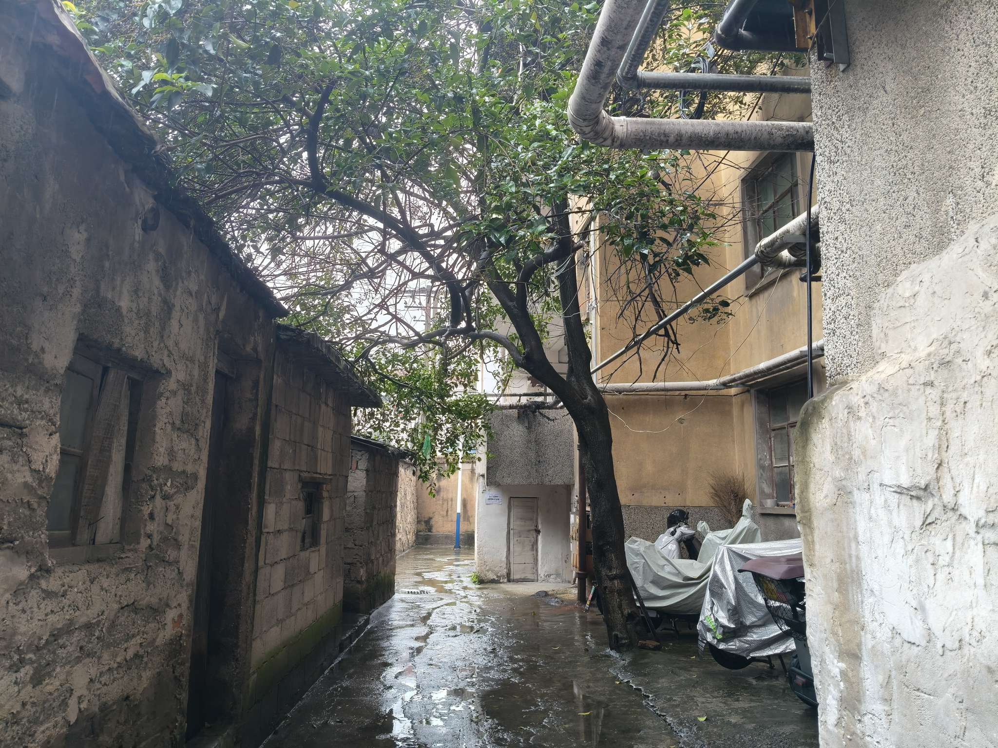 出售支架村住宅两套_9