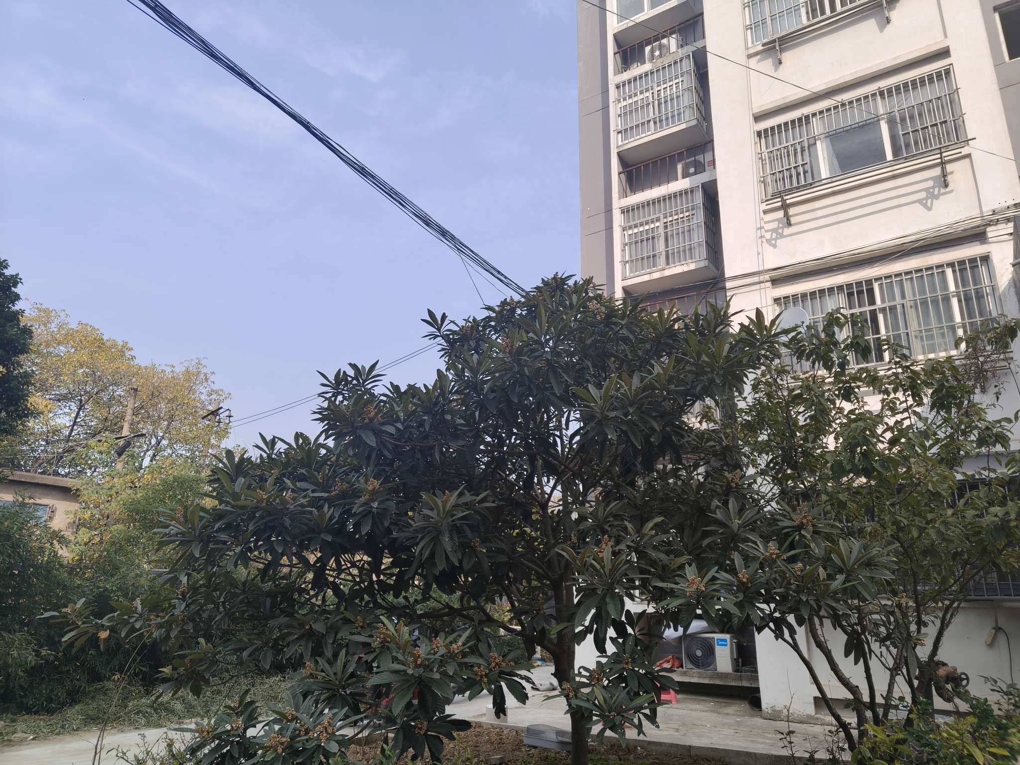 新城一号 95平 南向两室两厅 交通便利 学区房 简装好房_9