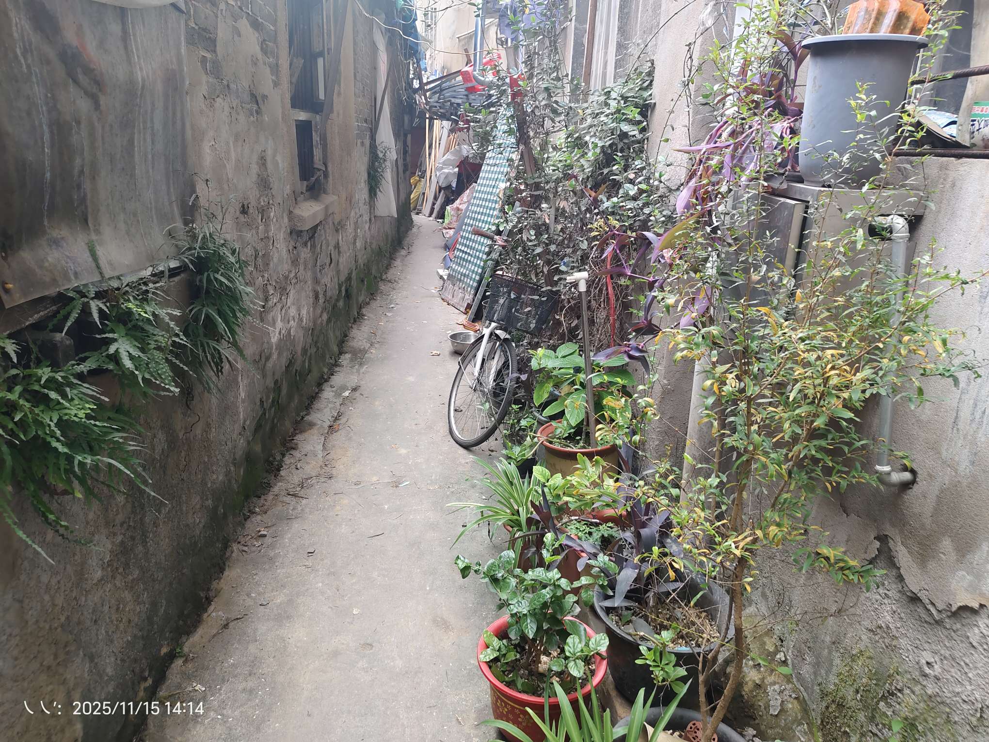 东城市场淮光巷自建房_8