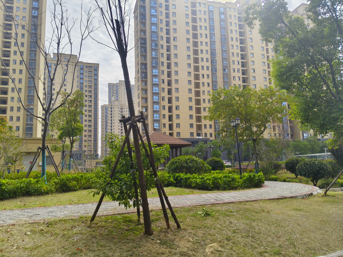 安成雅居 95平 南向两居 交通便利 配套齐全 毛坯房_8