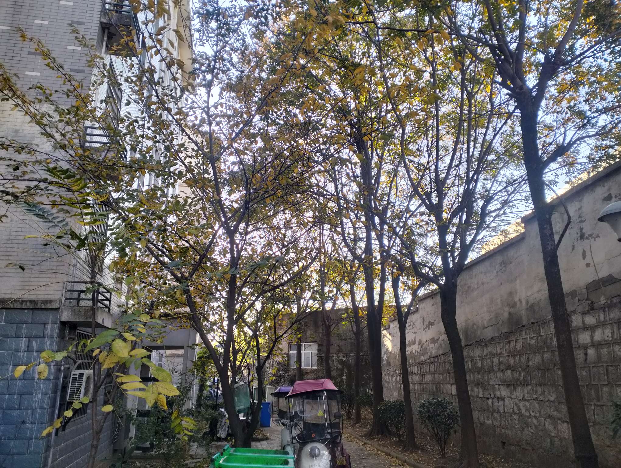卧龙山庄西区 90平 三室两厅 满两年 单价仅2440元/平 简装_8