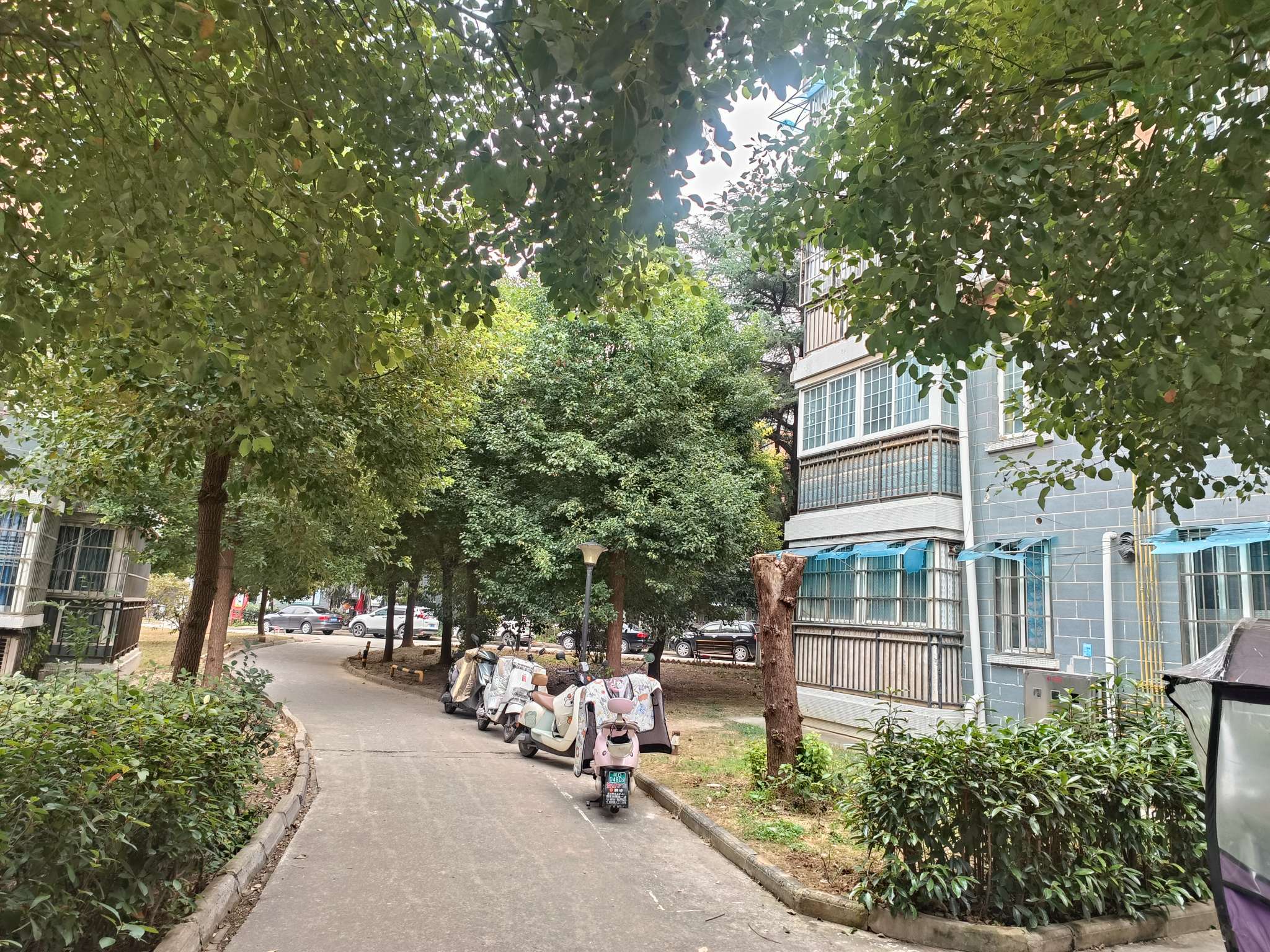 锦绣康城 124平 精装三室二厅 2000元/平 采光好配套全_18