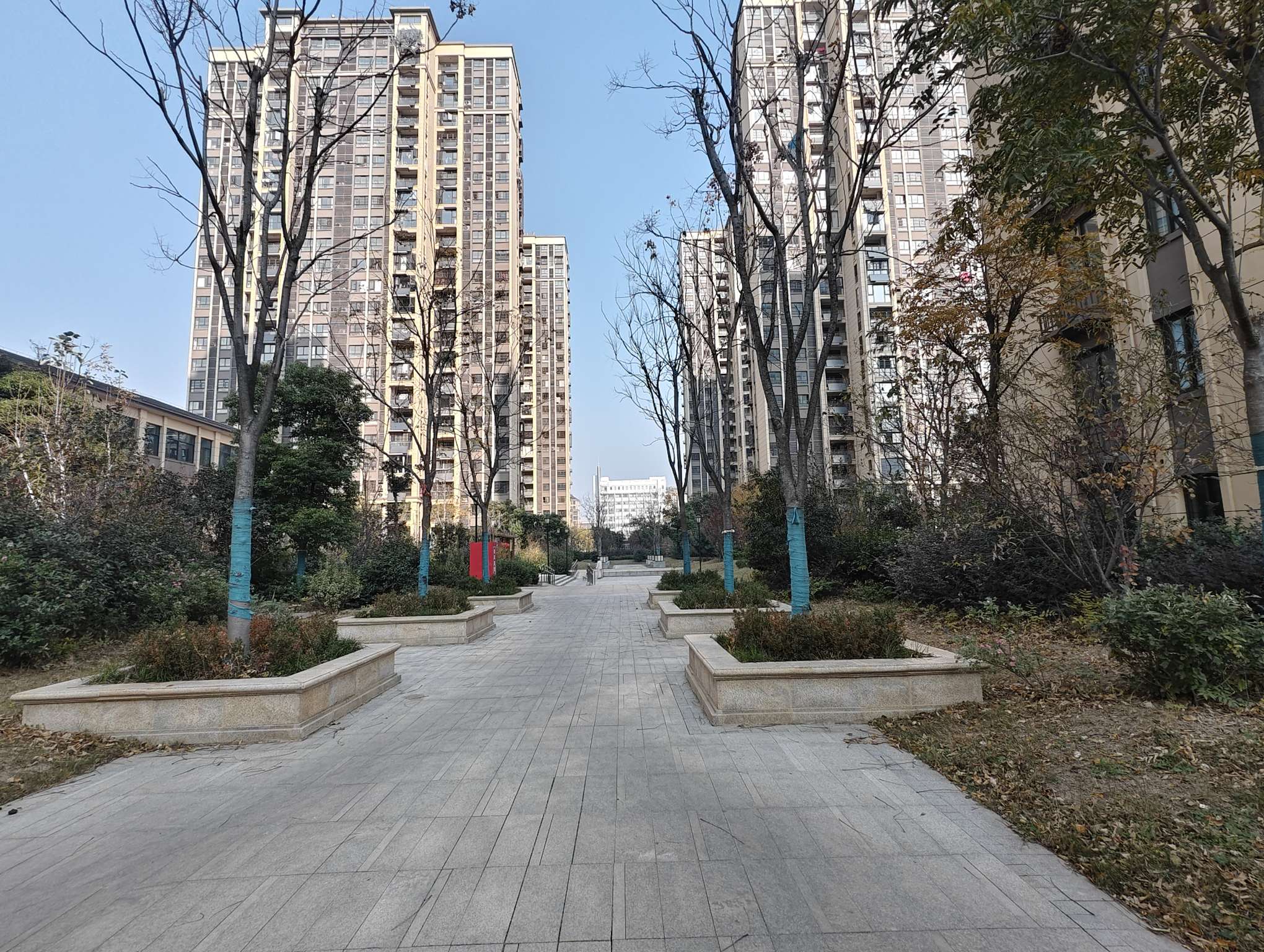 明珠佳园 112平 三室两厅 交通便利 学区房 毛坯出售_8