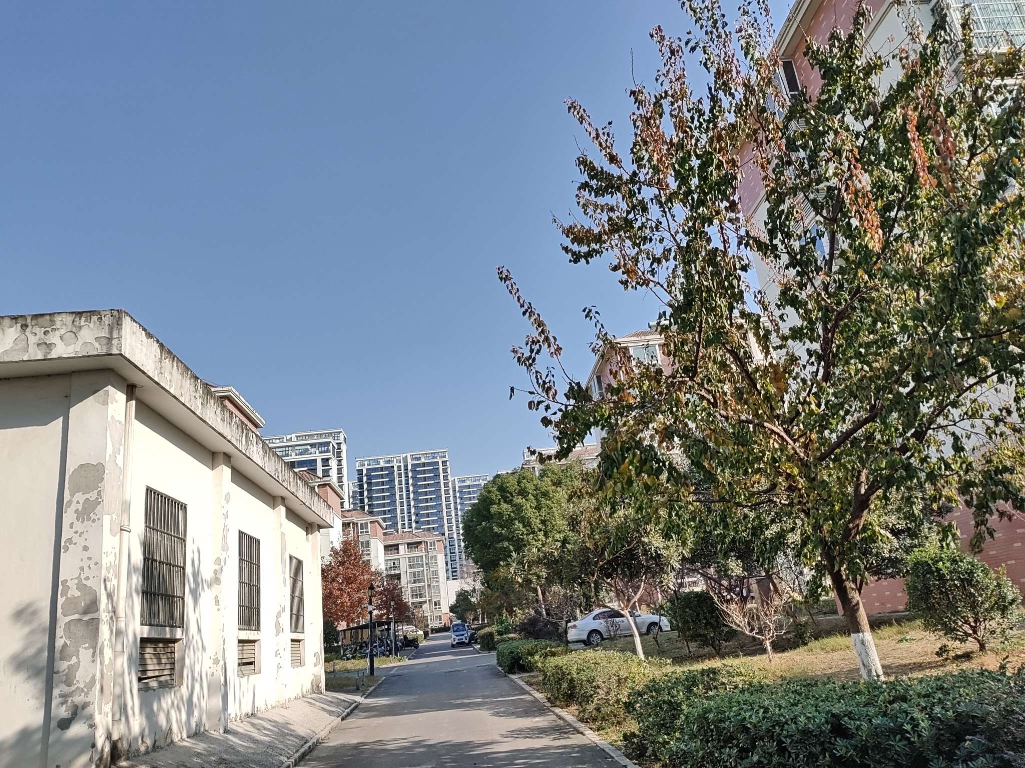 唐家山庄 101平 三室两厅 简装出租 学区房 交通便利_12