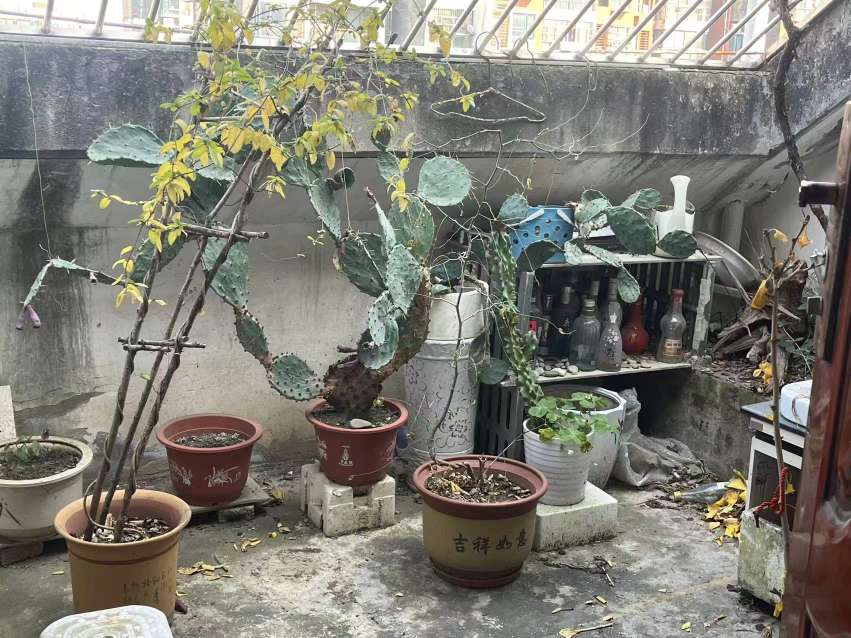 新袁庄A区 90平 三室一厅 单价1778元/平 交通便利配套全_9