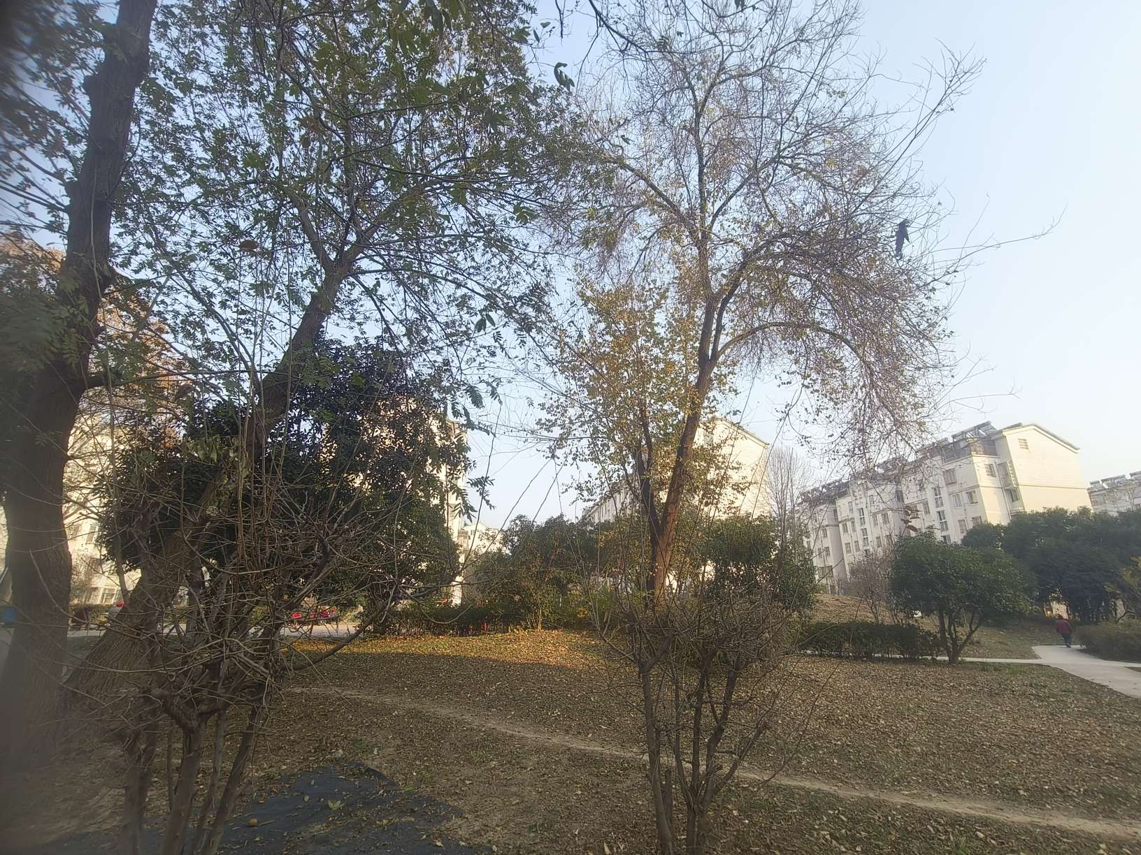 范圩小区 98平 三室两厅 满两年 交通便利 单价仅1479元/平_7