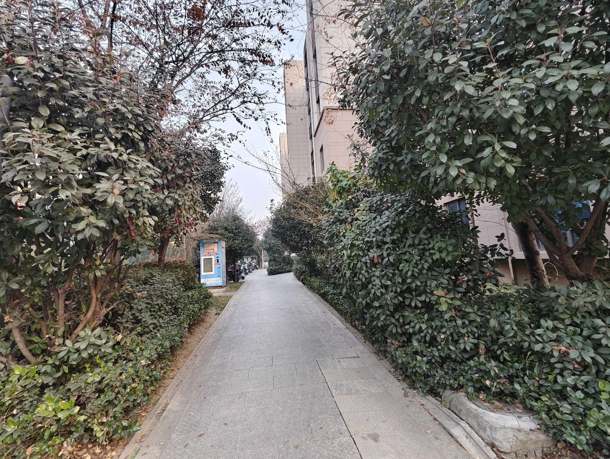 寿县碧桂园 125平 南向精装三室 满五唯一 学区房_22
