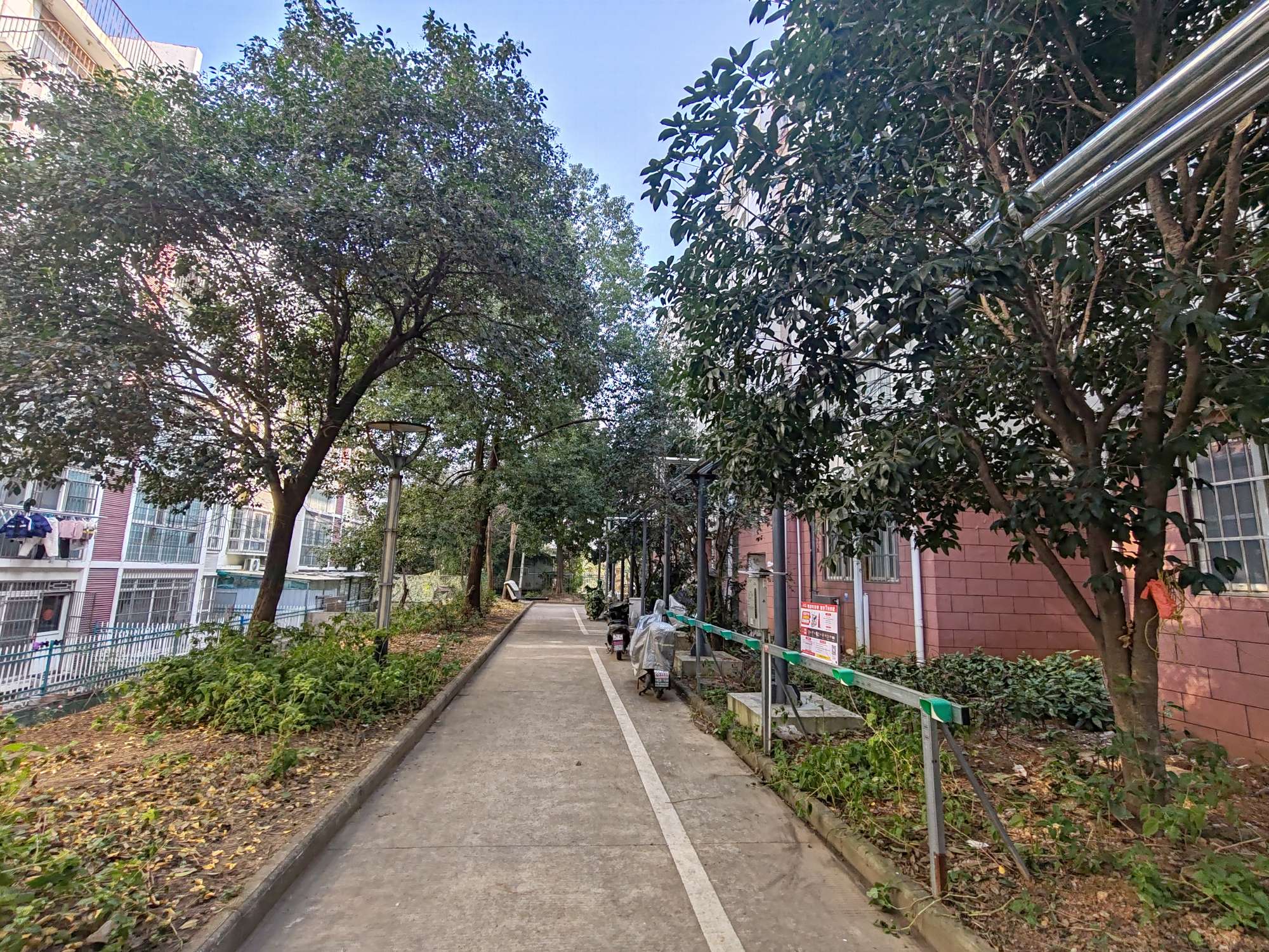东华鑫城简装2室1厅99平黄金楼层_18