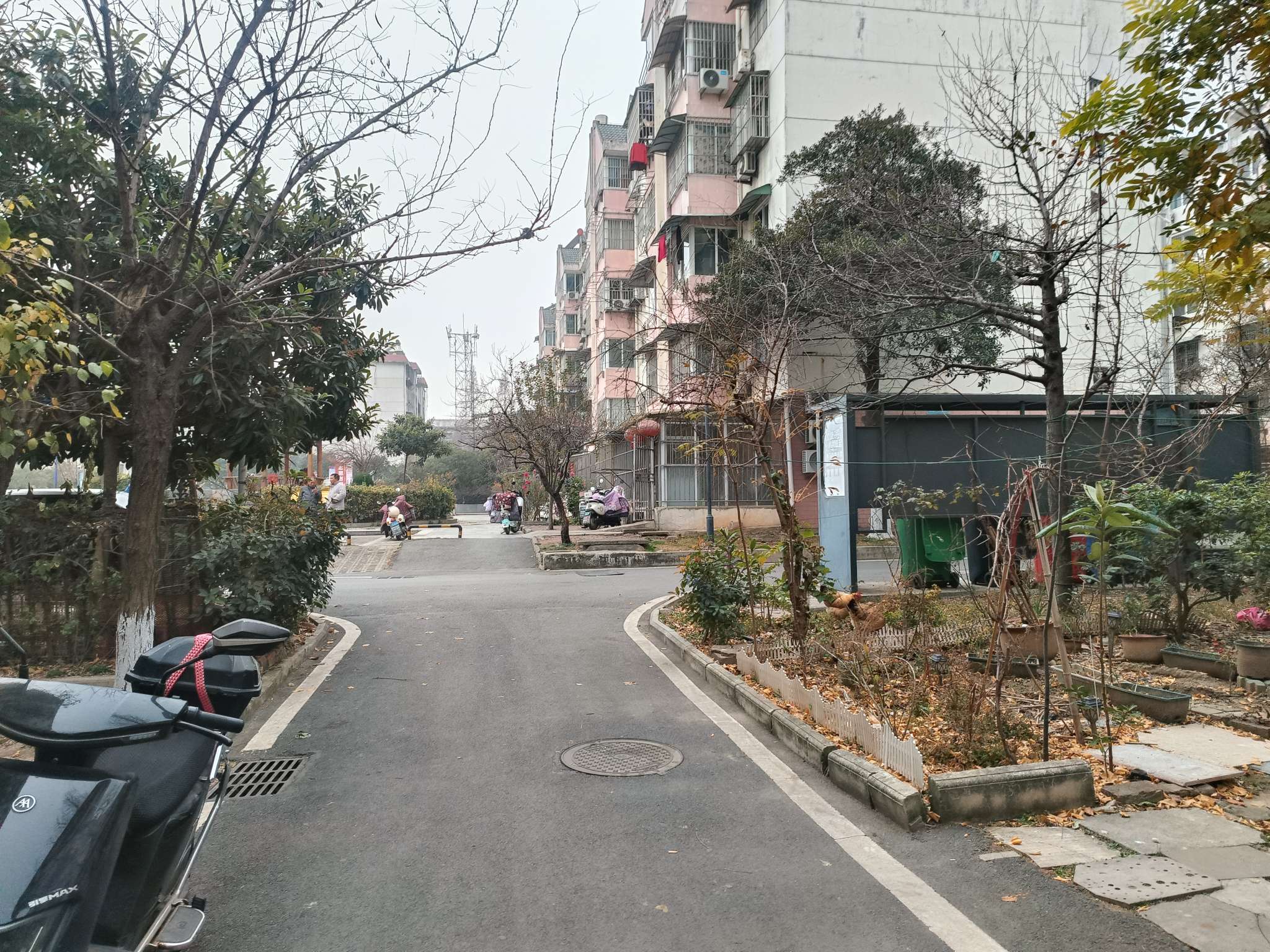 新社四村 91平 三室一厅 1978元/平 简装南向_12