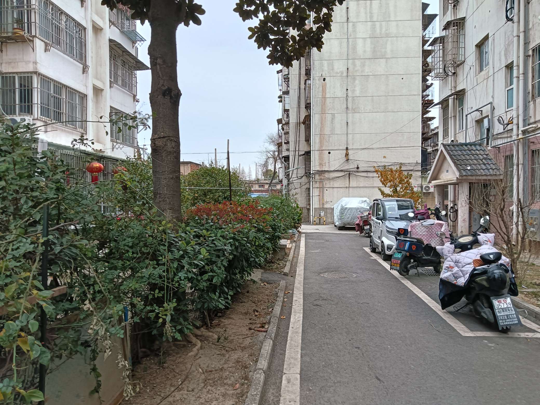 新社四村 67平 两室一厅 南向采光好 交通便利 随时看房_9