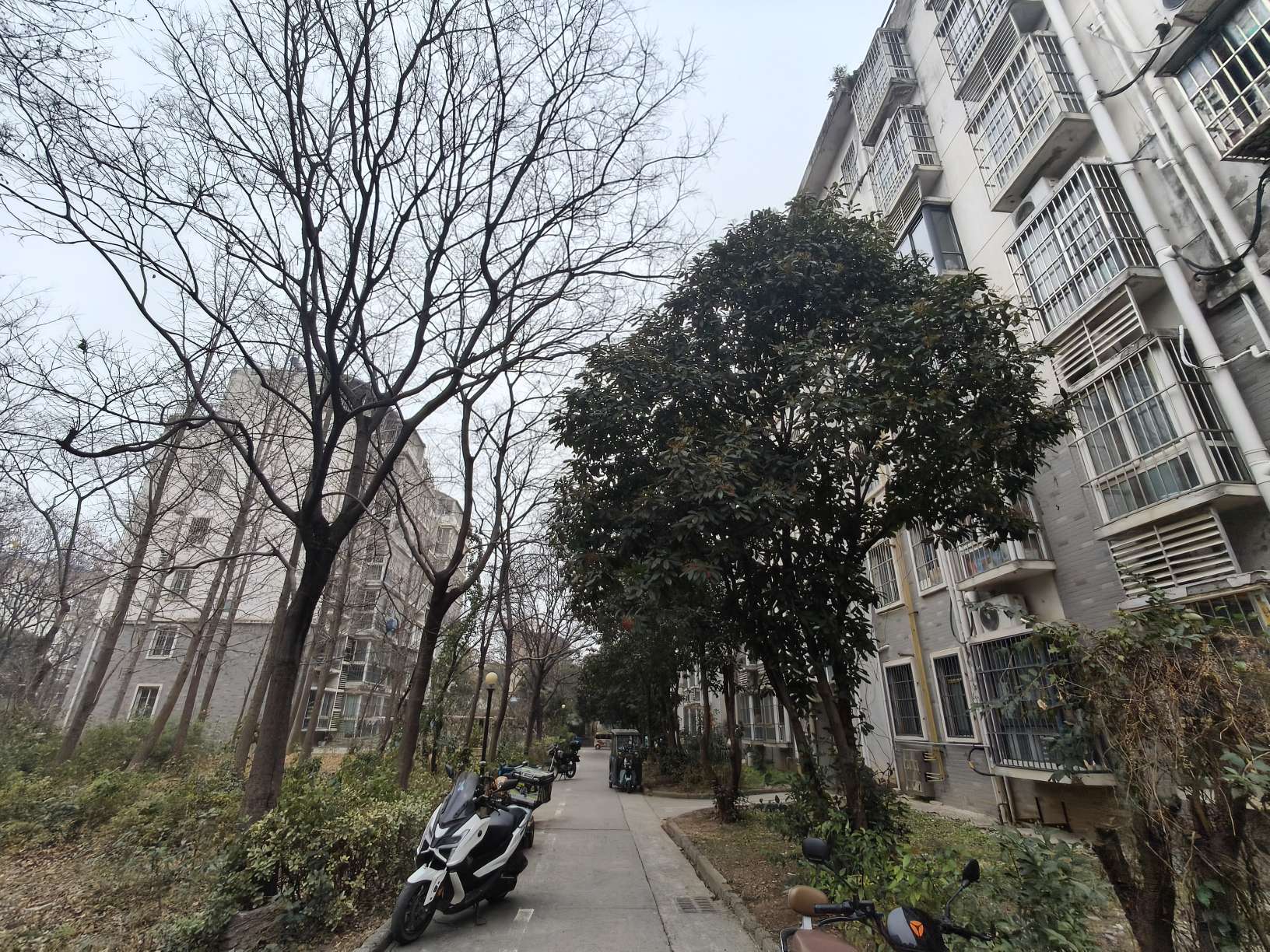 建南村西区 96平 三室两厅 交通便利 满两年 学区房_14